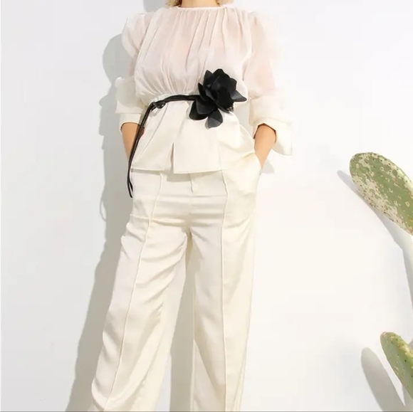 Sheer & Satin Elegant Pants and Blouse Set - Picture 7 of 7